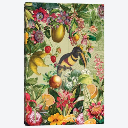Vintage Toucan In Paradise Jungle Canvas Print #UTA362} by UtArt Canvas Print
