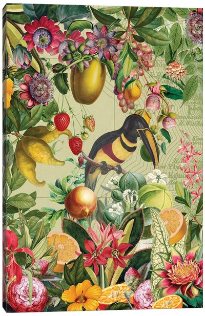 Vintage Toucan In Paradise Jungle Canvas Art Print - Toucan Art