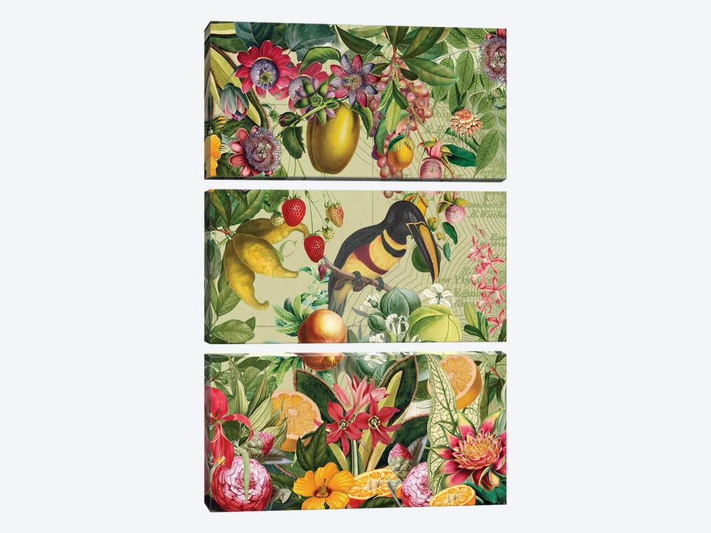 Vintage Toucan In Paradise Jungle by UtArt 3-piece Canvas Print