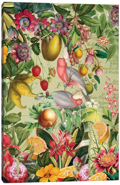 Exotic Vintage Cockatoos In Fruit And Flower Jungle Canvas Art Print - Plant Mom