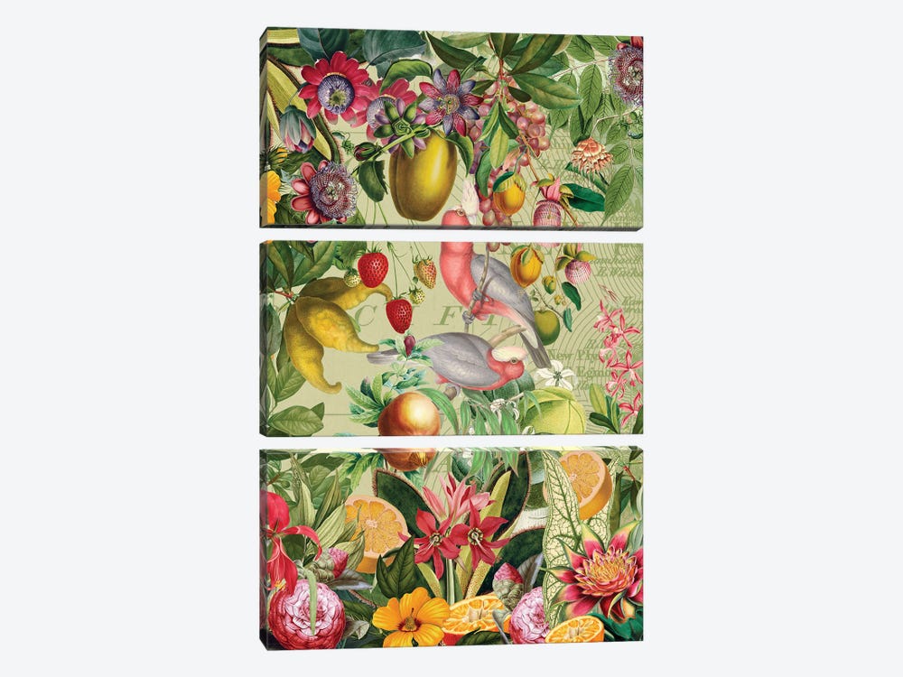 Exotic Vintage Cockatoos In Fruit And Flower Jungle by UtArt 3-piece Canvas Art