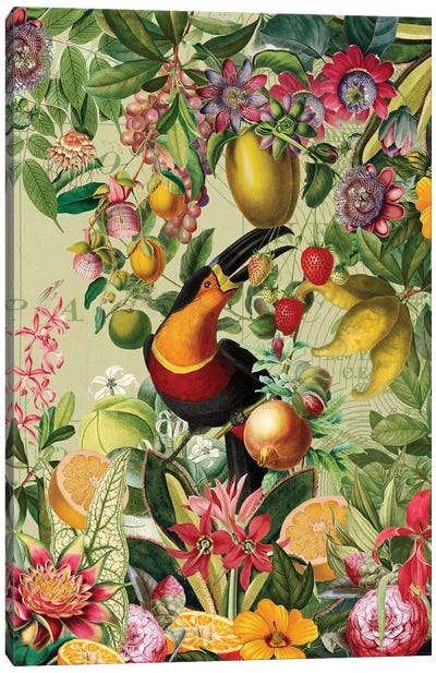 Vintage Toucan In Vintage Fruit And Flower Jungle Canvas Art Print - Toucan Art