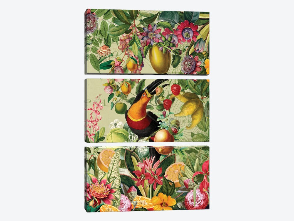Vintage Toucan In Vintage Fruit And Flower Jungle by UtArt 3-piece Canvas Print