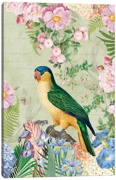 Vintage Parrot In Botanical Garden Canvas Art Print - UtArt