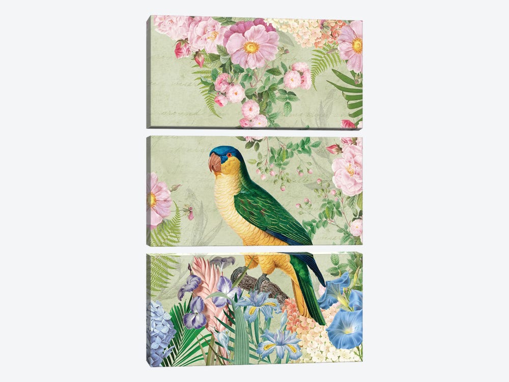 Vintage Parrot In Botanical Garden by UtArt 3-piece Canvas Artwork