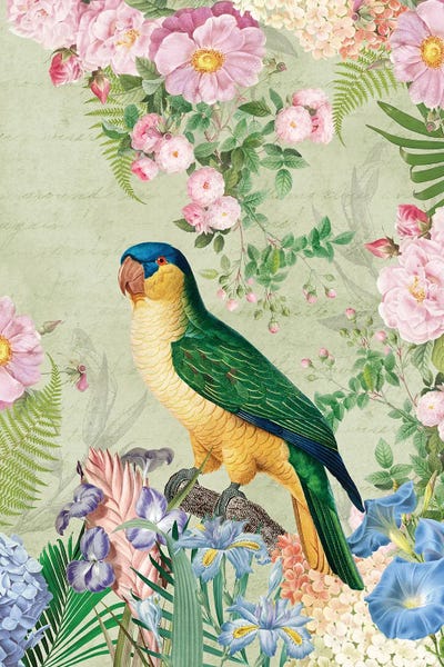 UtArt: Vintage Parrot In Botanical Garden by UtArt