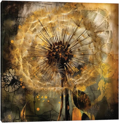 Illuminated Wishes Canvas Art Print - Dandelion Art