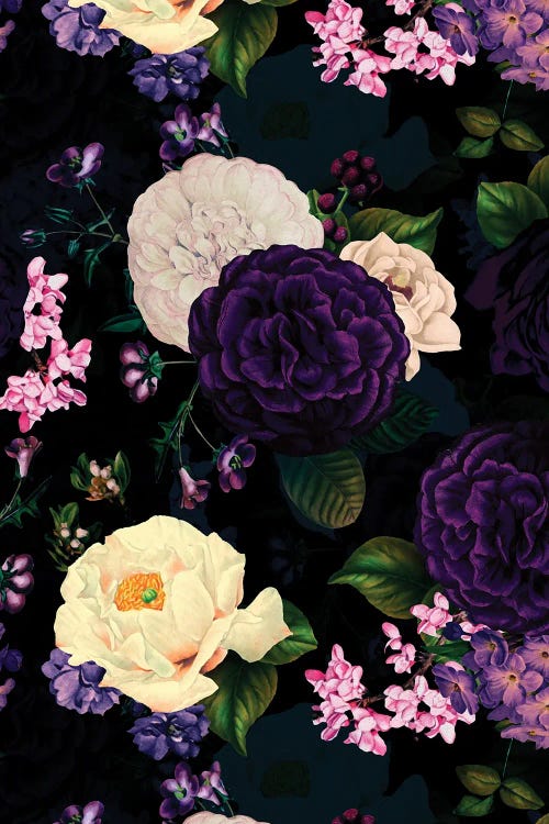 Antique Purple Dutch Night Garden