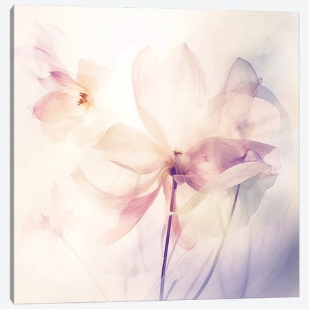 Radiant Blossoms V Canvas Print #UTA391} by UtArt Canvas Art