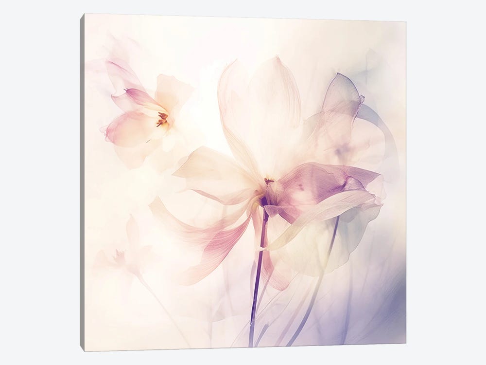Radiant Blossoms V by UtArt 1-piece Art Print