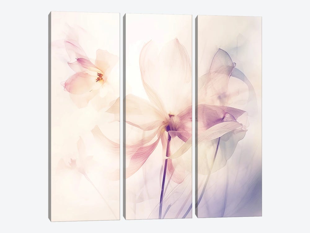Radiant Blossoms V by UtArt 3-piece Art Print