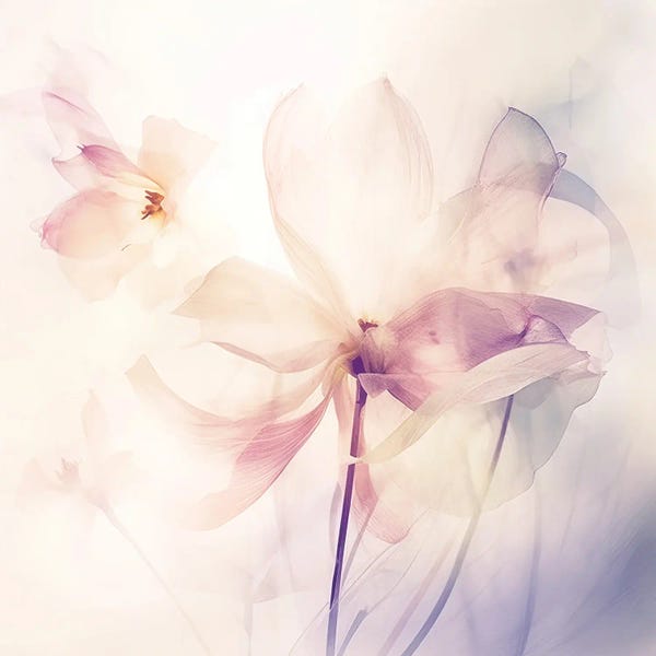 Blossoms: Radiant Blossoms V by UtArt