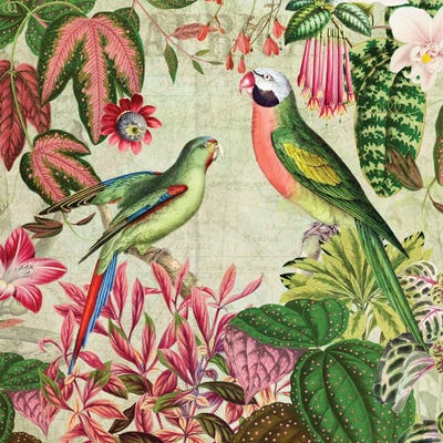 Birds And Jungle Tropical Rainforest by UtArt framed canvas print