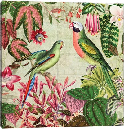 Birds And Jungle Tropical Rainforest Canvas Art Print - Cream Art