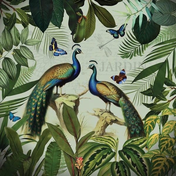 Peacocks: Peacocks In Tropical Rainforest by UtArt