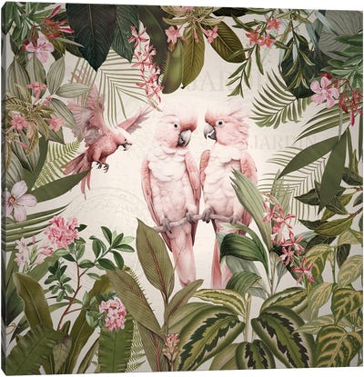 Pink Cockatoos In Rainforest Canvas Art Print - Cockatoo Art