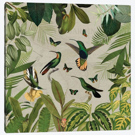 Nostalgic Hummingbirds In Rainforest Canvas Print #UTA406} by UtArt Art Print