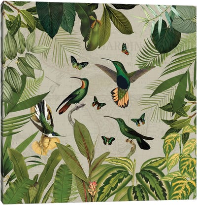 Nostalgic Hummingbirds In Rainforest Canvas Art Print - Green Art