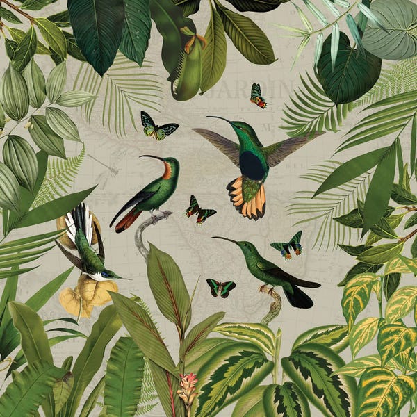 Botanical Illustrations: Nostalgic Hummingbirds In Rainforest by UtArt