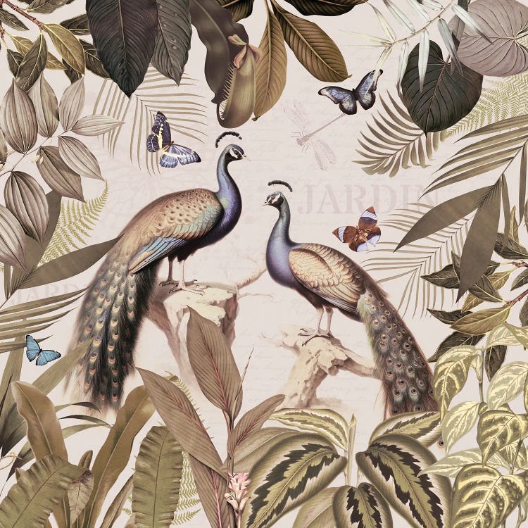 Peacocks In Vintage Rainforest