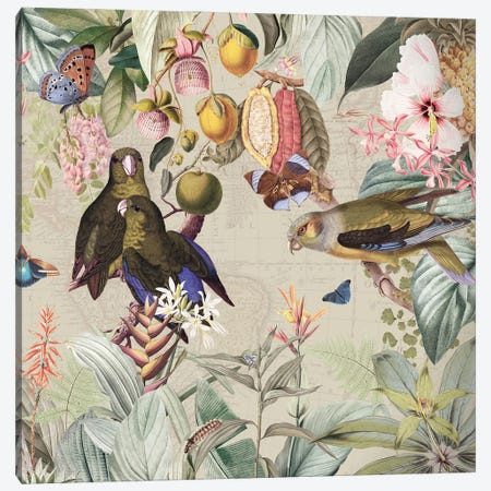 Parrots In Vintage Birds Jungle Canvas Print #UTA411} by UtArt Canvas Art Print