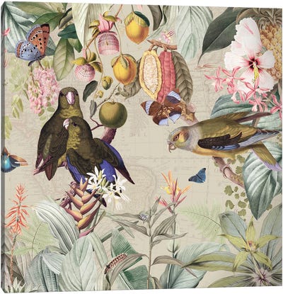 Parrots In Vintage Birds Jungle Canvas Art Print - Parrot Art