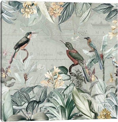 Exotic Birds In Nostalgic Jungle Canvas Art Print - UtArt