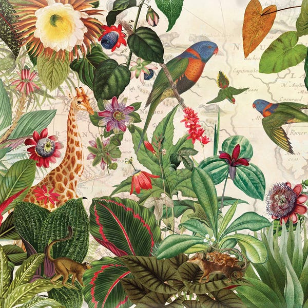 Vintage Animal Illustrations: Exotic African Animals In Rainforest by UtArt