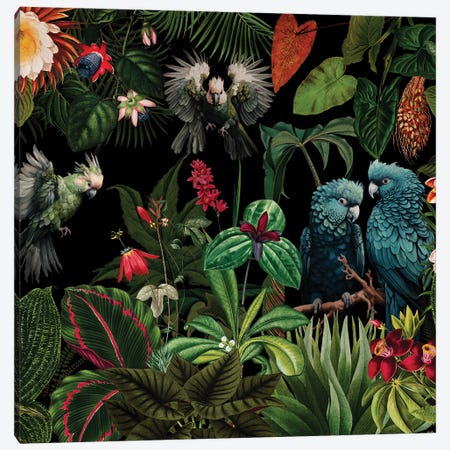 Midnight Animals Jungle Canvas Print #UTA419} by UtArt Canvas Art Print