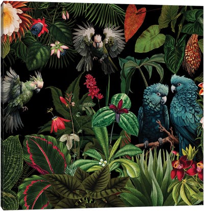 Midnight Animals Jungle Canvas Art Print - Green Art