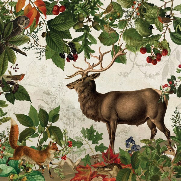 Vintage Animal Illustrations: Guardians Of The Forest - Vintage Woodland II by UtArt