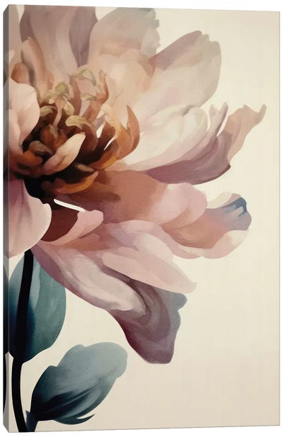 Blush Abstract Dahlia Flower Canvas Art Print - UtArt