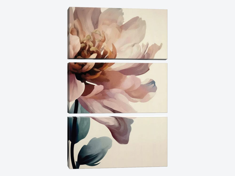Blush Abstract Dahlia Flower by UtArt 3-piece Art Print