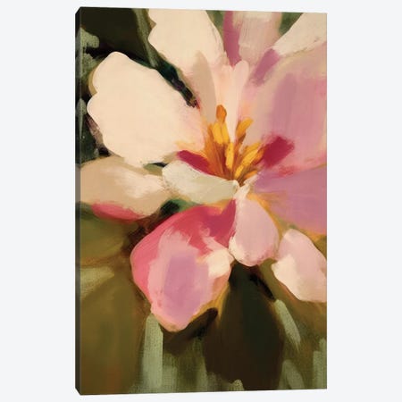 Blush Camellia Flower II Canvas Print #UTA443} by UtArt Canvas Art
