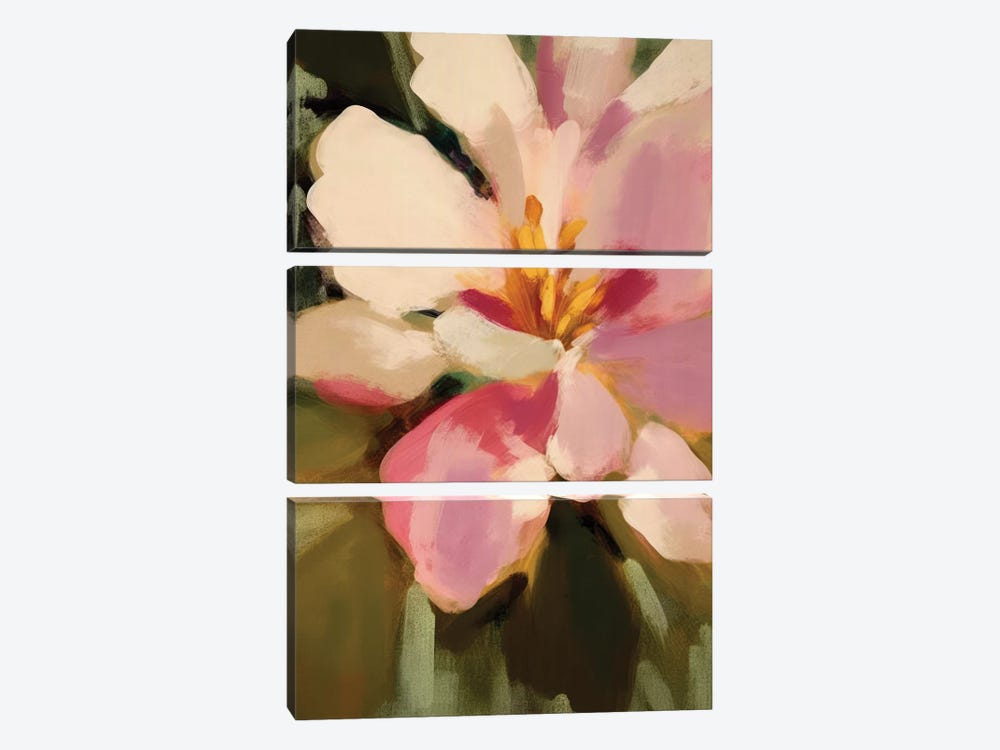 Blush Camellia Flower II by UtArt 3-piece Canvas Art Print