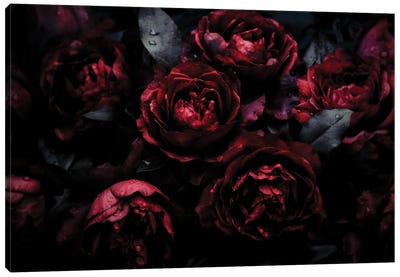 Vintage Dark Burgundy Baroque Roses Canvas Art Print