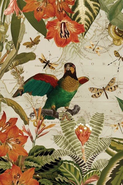 Parrots: Nostalgic Exotic Parrots In A Tropical Jungle by UtArt