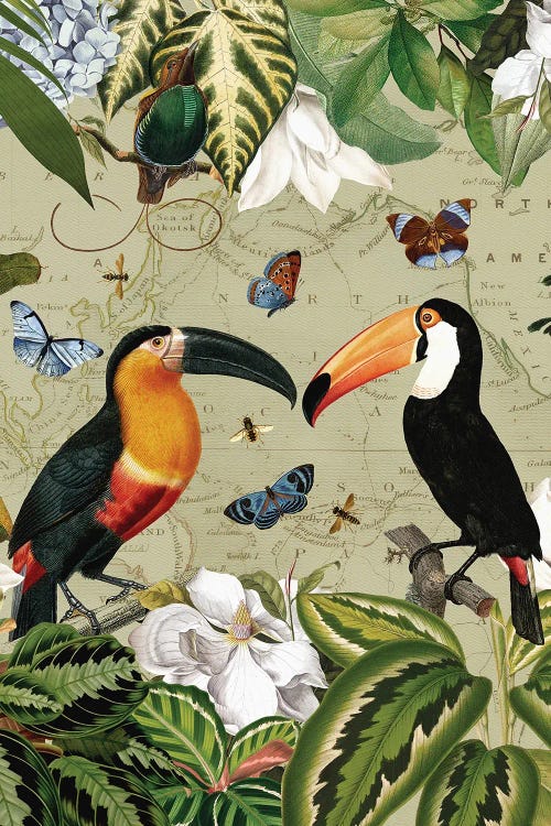 Exotic Vintage Tucan Jungle by UtArt wall art