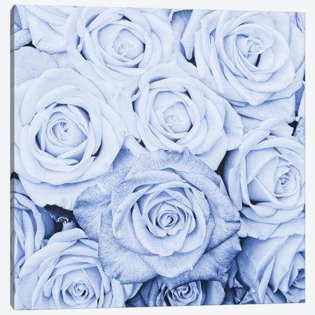 Blue Real Roses Canvas Print #UTA50} by UtArt Art Print
