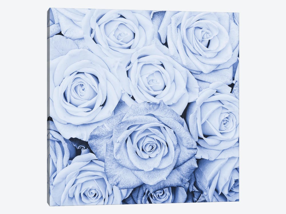 Blue Real Roses by UtArt 1-piece Canvas Print