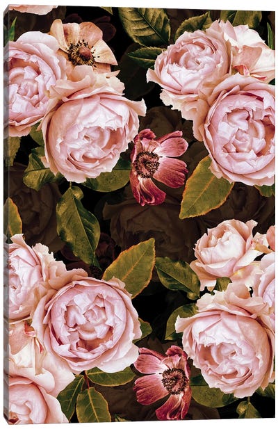 Blush Real Night Roses Garden Canvas Art Print - UtArt
