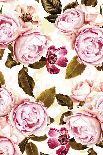 UtArt: Blush Real Roses I by UtArt