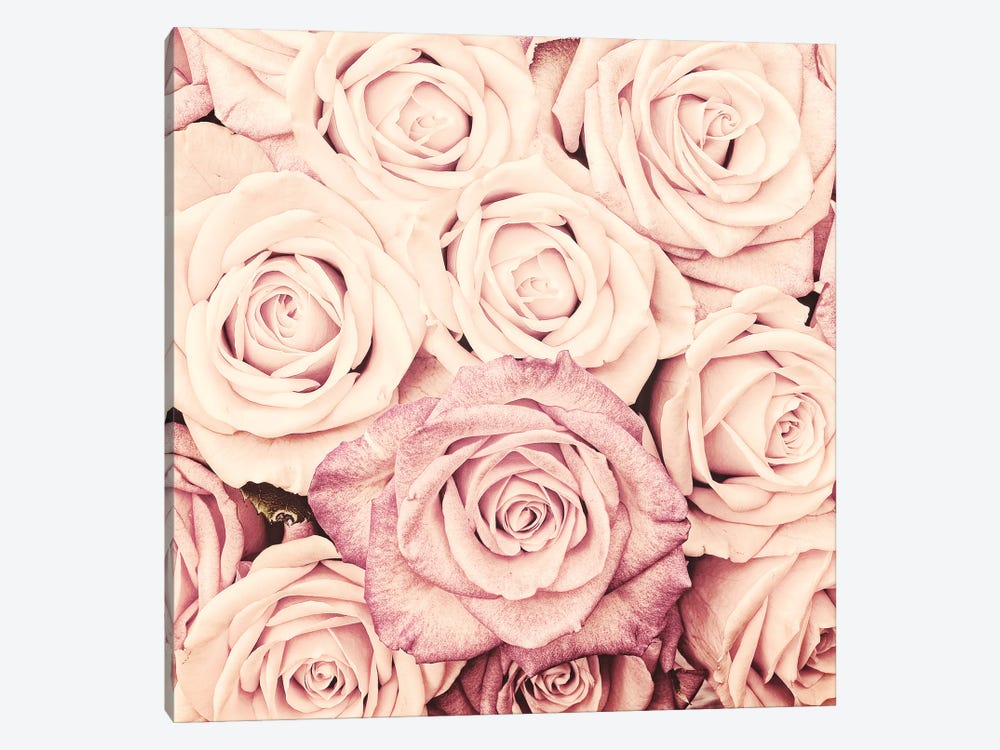 Blush Real Roses II by UtArt 1-piece Canvas Art