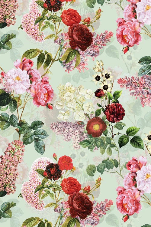 Blush Redouté Summer Garden