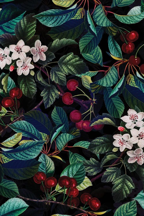 Cherry Blossoms Night Garden