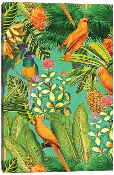 Colorful Birds Vintage Jungle Canvas Art Print - UtArt