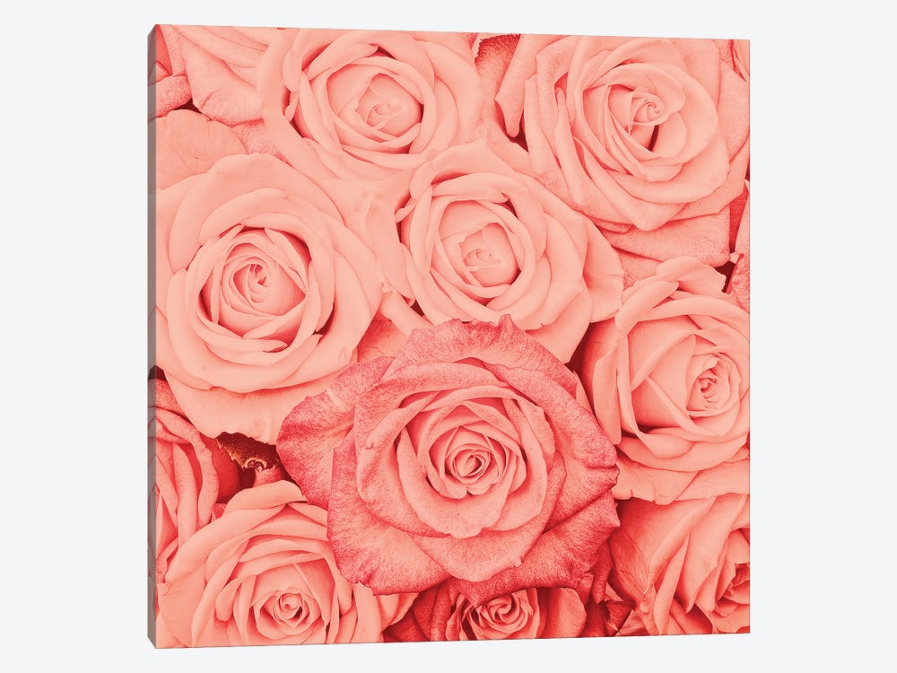 Coral Real Roses by UtArt 1-piece Canvas Print