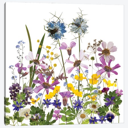 Dried And Pressed Midsummer Flowers Canvas Print #UTA92} by UtArt Art Print