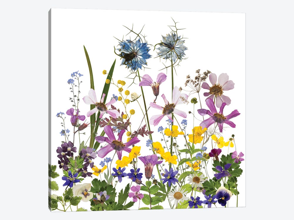 Dried And Pressed Midsummer Flowers by UtArt 1-piece Canvas Print