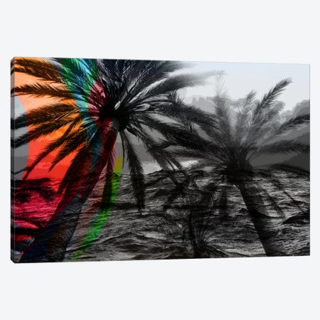Rainbow in the Storm Canvas Print #UVP21a} by 5by5collective Art Print
